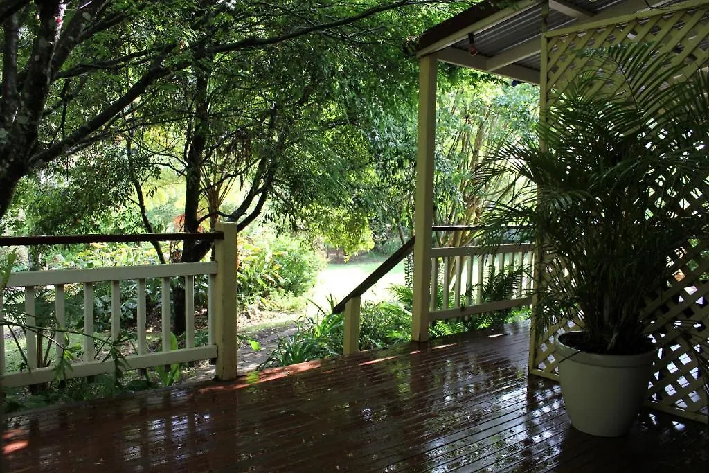 Maz'S On The Mountain Hotel Tamborine Mountain